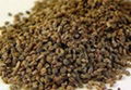 CELERY  SEEDS (AJWAIN)