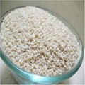 HULLED SESAME SEEDS (WHITE TIL)