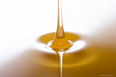 EU Standard Natural Honey