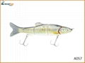 Anglers Choice 5 Section Fishing Trout Lures with Seawater Fresh Water Bait 3