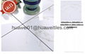 Double Loading Polished Ceramic Tiles