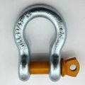 US Type Screw Pin Forged Bow shackle