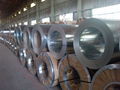 Hot-Selling High Quality Low Price galvanized steel coil 4