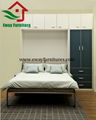 New Style Modern Double Wall Bed with Sofa 4