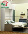 New Style Modern Double Wall Bed with Sofa 5