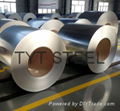 Factory galvanized steel roll coil coated steel