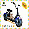 Hot Sales Promotion Scrooser outdoor motorcycle citycoco