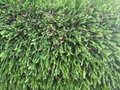 35mm Natural looking artificial grass with SGS certification 2