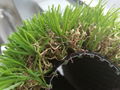 35mm Natural looking artificial grass with SGS certification 5