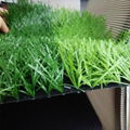 Cheap Price Artificial Grass for Football Field, Soccer Field and Futsal 1