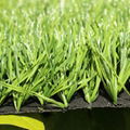 Cheap Price Artificial Grass for Football Field, Soccer Field and Futsal 2