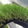 Artificial Grass Without Heavy Metals From China Manufacturer 4