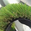 Artificial Grass Without Heavy Metals From China Manufacturer 3