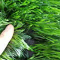 40-60mm Mix knitted double colors Soccer grass 3