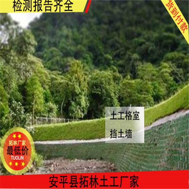 黑色聚乙烯蜂窩格室價格 2