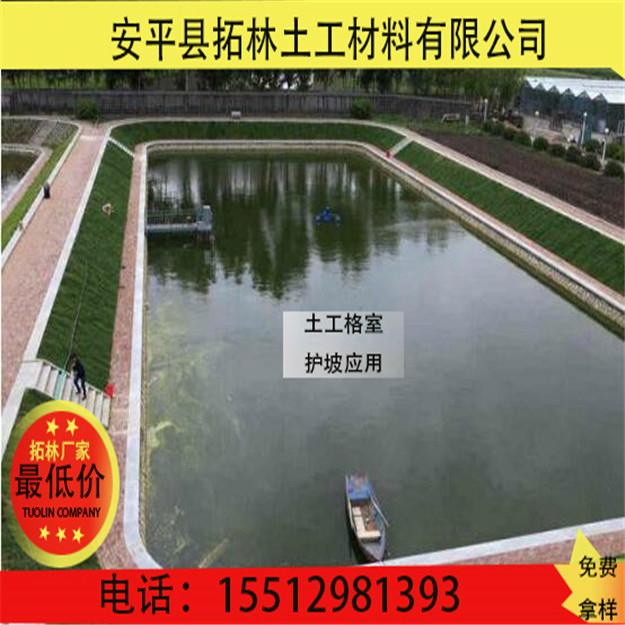 景德鎮土工格室植草護坡  2