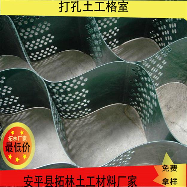 景德鎮土工格室植草護坡  5