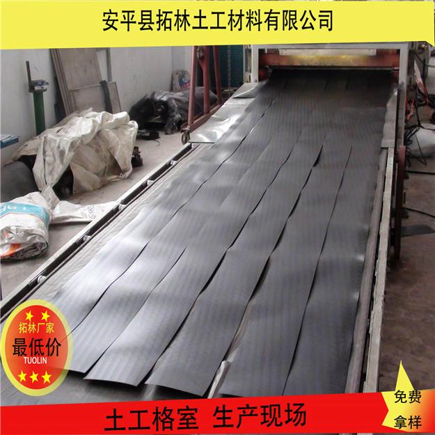 蜂巢约束系统边坡防护绿化30-50-80厂家直销 3
