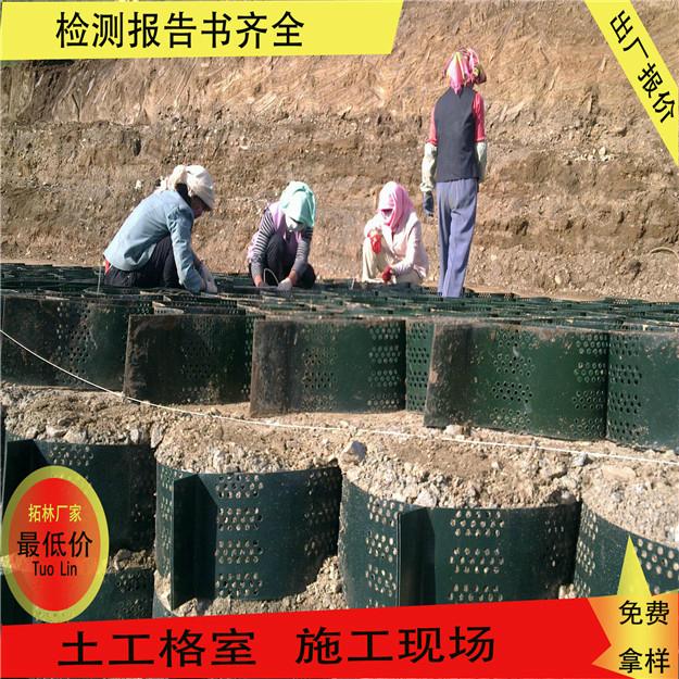 蜂巢约束系统边坡防护绿化30-50-80厂家直销 4
