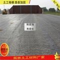 国标土工格栅批发商高速公路增强挡土墙聚丙烯原料 2