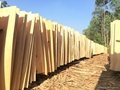 Acacia core veneer for making plywood 3