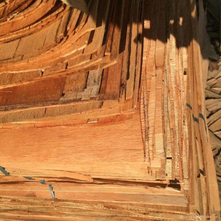 Acacia core veneer for making plywood 5