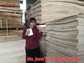 Commercial plywood - packing AB Grade from Vietnam 2