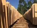 Vietnam Eucalyptus core veneer 4 inch 1270*640mm