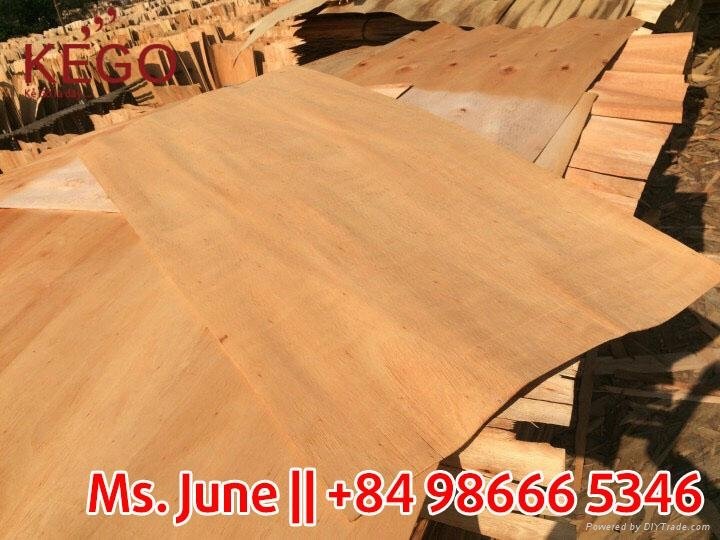 Vietnam Eucalyptus core veneer 4 inch 1270*640mm 3