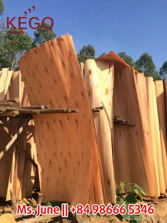Vietnam Eucalyptus core veneer 4 inch 1270*640mm 2