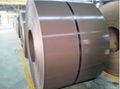 RAL color coated steel sheet in coil ppgi color coated steel sheet 2