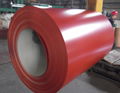 RAL color coated steel sheet in coil ppgi color coated steel sheet 3