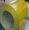 Prepainted Steel With Polyester Coating