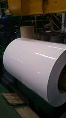 PPGI PPGL coils steel sheet steel coil prepainted steel coils