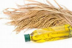 rice bran oil