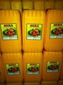 Quality Palm Oil 3