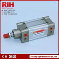 Pneumatic cylinder