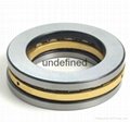 81113TN SKF Quality Cylindrical Roller Thrust Bearing 3