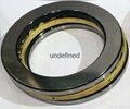81113TN SKF Quality Cylindrical Roller Thrust Bearing 4
