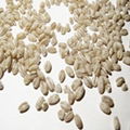 Barley from Ukraine 1