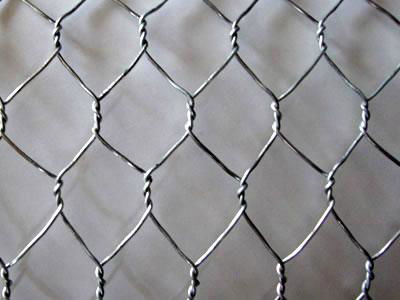 Hexagonal Wire Chicken Cage