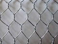 Hexagonal Wire Chicken Cage 1