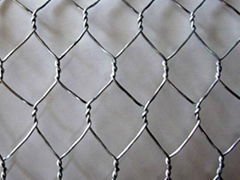 Hexagonal Wire Chicken Cage