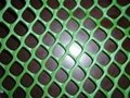 Plastic Poultry Netting 2