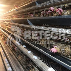 Retech Design Galvanized Wire Mesh A Frame Chiken Cage