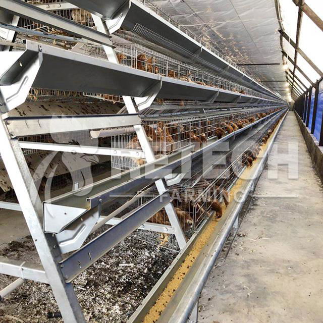 Retech full automatic a type battery chicken cage system
