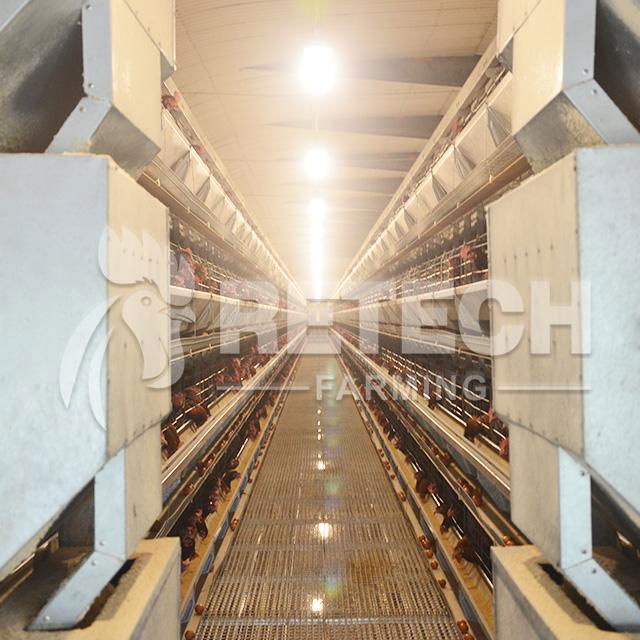 Retech Factory Direct Supply H Type Full Automatic rearing equipment for chicke