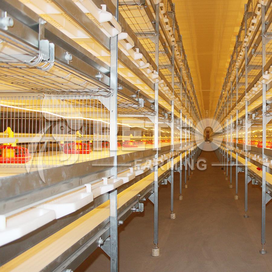 Retech Design Morden Automatic Broiler Chicken Cage for Sale