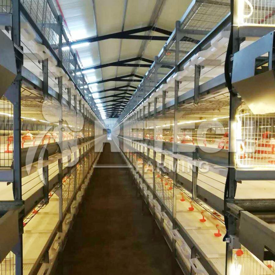 Retech Design Morden Automatic Broiler Chicken Cage for Sale 2