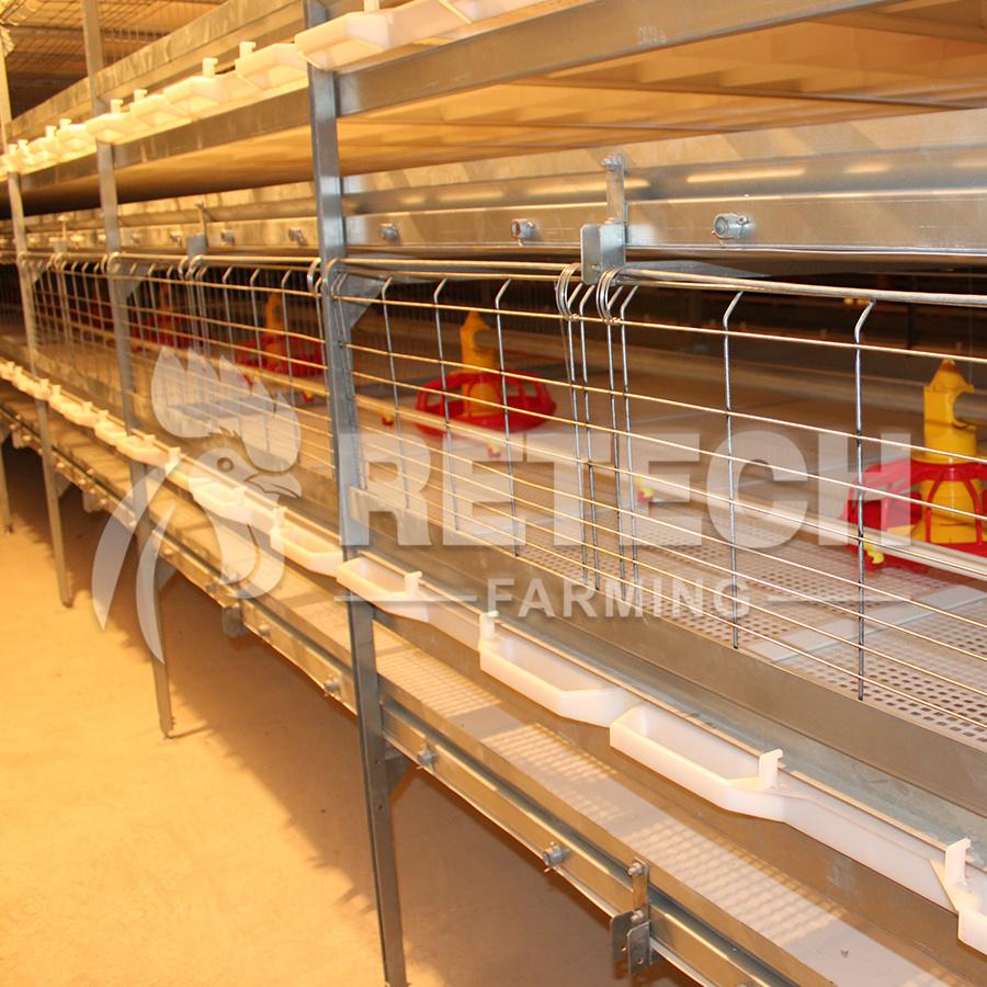 Retech Design Morden Automatic Broiler Chicken Cage for Sale 3